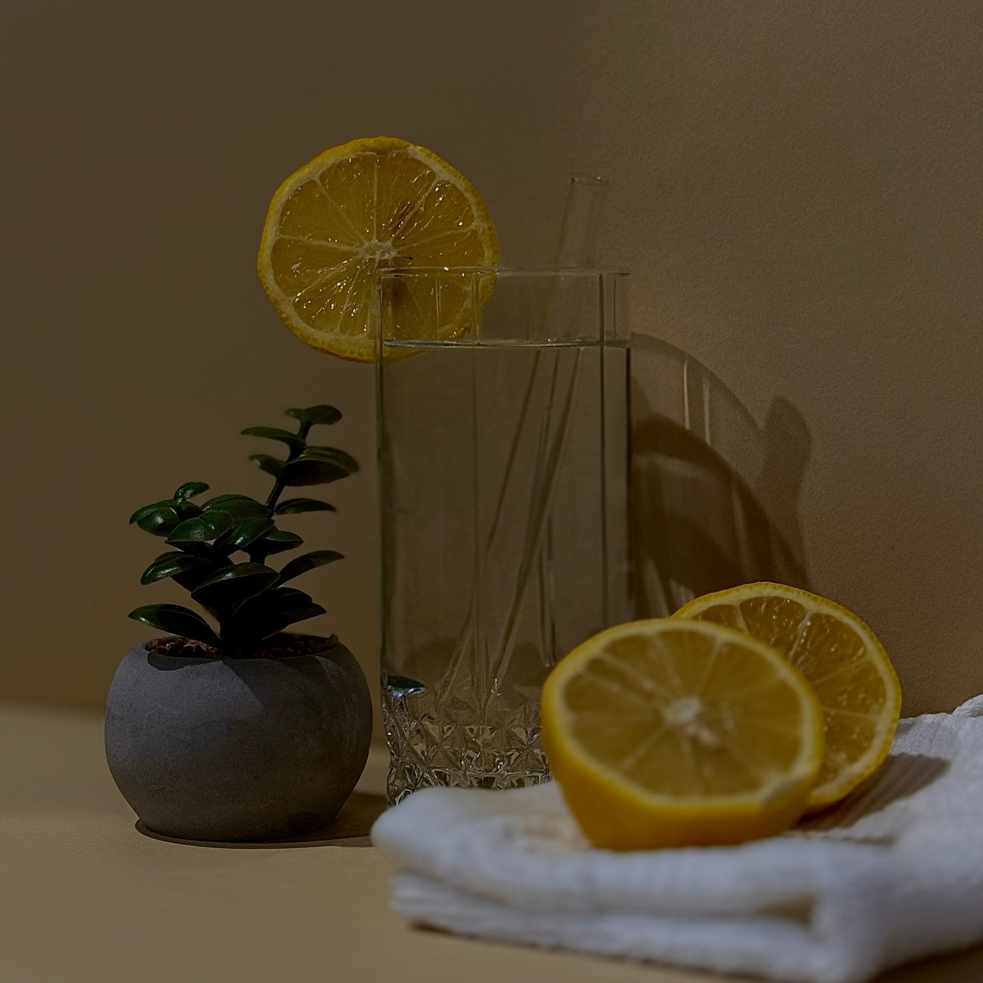 Detox Gut Health Reset